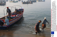 Turtles being slaughtered on the beach, Vizhinjam, Kerala, India  - 2008
