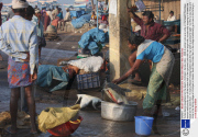 Turtles being slaughtered on the beach, Vizhinjam, Kerala, India  - 2008