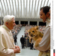 VATICAN: Pope Benedict XVI,  general audience in Paul VI Hall
