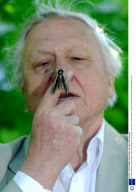 Sir David Attenborough launches a National Moth head count at ZSL London Zoo, London, Britain - 02 May 2007