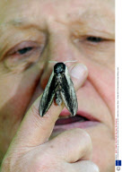Sir David Attenborough launches a National Moth head count at ZSL London Zoo, London, Britain - 02 May 2007