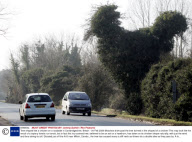 Tree shaped like a chicken on a roadside in Cambridgeshire, Britain - 04 Feb 2009