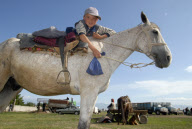 Animal market