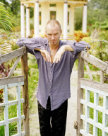 Sting In Vietnam