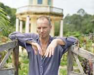 Sting In Vietnam