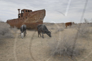 The dry Aral Sea
