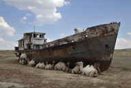Aral Sea