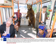 The last three Dancing Brown Bears are rescued and taken to Europe's largest bear sanctuary, The Dancing Bear Park in Belitsa, Bulgaria - 25 Jan 2009