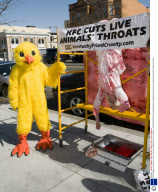 PETA Stages a Protest at a KFC resturant, Washington DC, America - 25 Feb 2009