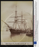 A hidden treasure trove of photographs of the Victorian Anglo-Zulu War have been discovered in Dorset, Britain - 07 Nov 2008