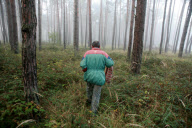 SLOVAKIA - Milan Surina Mushroom Farmer