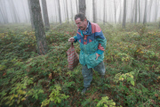 SLOVAKIA - Milan Surina Mushroom Farmer