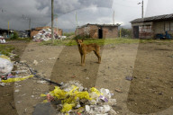 Years of conflict in Columbia leads to world's highest number of IDPs