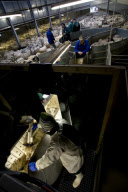 Iceland Seasonal Slaughterhouse Workers