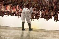 Iceland Seasonal Slaughterhouse Workers