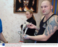Cat Tattooing in Moscow, Russia - 20 Feb 2009