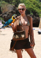 Paris Hilton