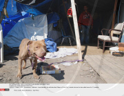 CA: SACRAMENTO'S TENT CITY