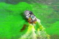 (3)US-CHICAGO-ST. PATRICKS'S-DYE GREEN