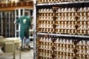 Chicken and Egg Production