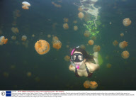 Swimmer braves Jellyfish Lake, Palau, Pacific Ocean - 16 Mar 2009