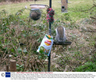 Squirrels Eat Squirrel Crisps, Milton Keynes, Britain - 16 Mar 2009