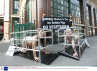 Peta protest outside Fifteen restaurant, London, Britain  - 18 Mar 2009