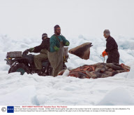 East Coast Seal Hunting season, Canada - 23 Mar 2009