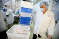 Vietnam Catfish Industry