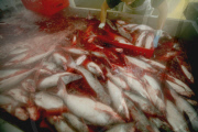 Vietnam Catfish Industry