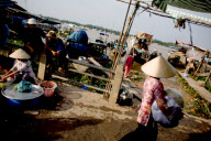 Vietnam Catfish Industry