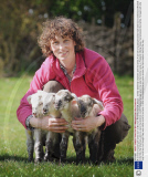 A rare set of quadruple lambs born at Bircham Windmill, Norfolk, Britain - 23 Mar 2009