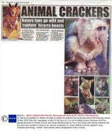 An internet competition to 'Morph' animals to create new species has produced bizarre and amazing results - 26 Mar 2009