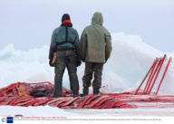 Commercial Seal Hunt, Canada - 25 Mar 2009
