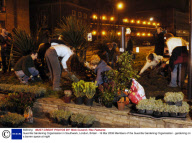 Guerrilla Gardening Organisation in Southwark, London, Britain - 16 Mar 2006
