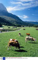 Bavaria, Germany