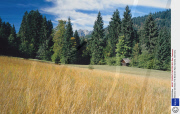 Bavaria, Germany