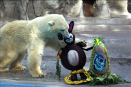 (4)ARGENTINA-BUENOS AIRES-ZOO-EASTER