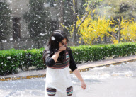 Beijing Pollen Storm caused by 300,000 female poplar trees