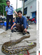 CHINA: Guangxi Nanning Cracks Down On Illegal Trafficking Of Wild Animals