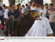 CHINA: Guangxi Nanning Cracks Down On Illegal Trafficking Of Wild Animals