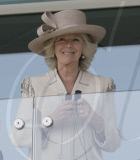 Duchess Of Cornwall - Epsom Racecourse
