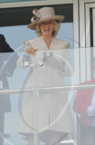 Duchess Of Cornwall - Epsom