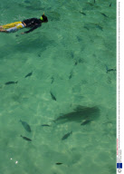 Malaysia and Thailand - 2009