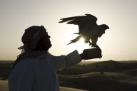 Abu Dhabi, United Arab Emirates