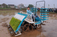 #(1)CHINA-ANHUI-RICE TRANSPLANTING-MECHANICS-PROMOTION(CN)