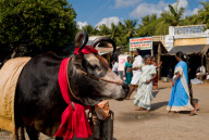 inde du sud