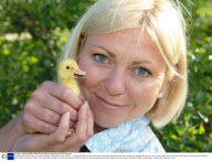 Cornflake the chicken and her brood of ducklings, Christchurch, Dorst  Britain  - 15 May 2009