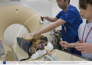 'Rudy Fujimoto', an 8 Year Old Miniature Dachshound Dog, Undergoes a CT Scan at the Bayside Animal Clinic, in Kanagawa, Japan - 19 May 2009