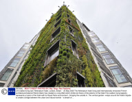 UK's tallest living wall  Athenaeum hotel, London, Britain  - 25 May 2009